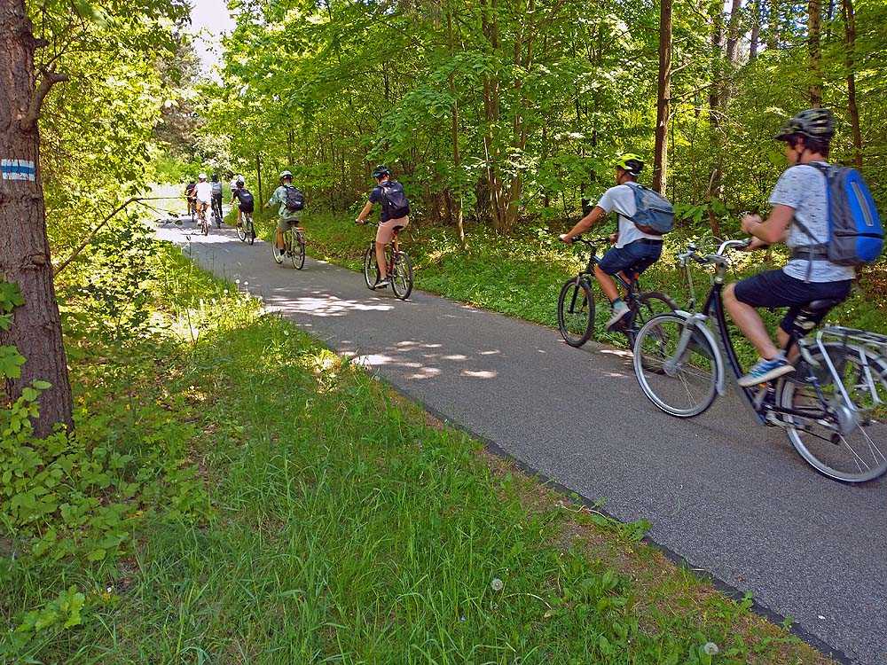 Wypożyczalnia rowerów w Żarkach